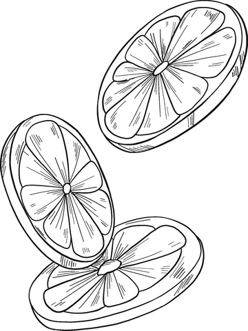 Orange Slices Coloring Page